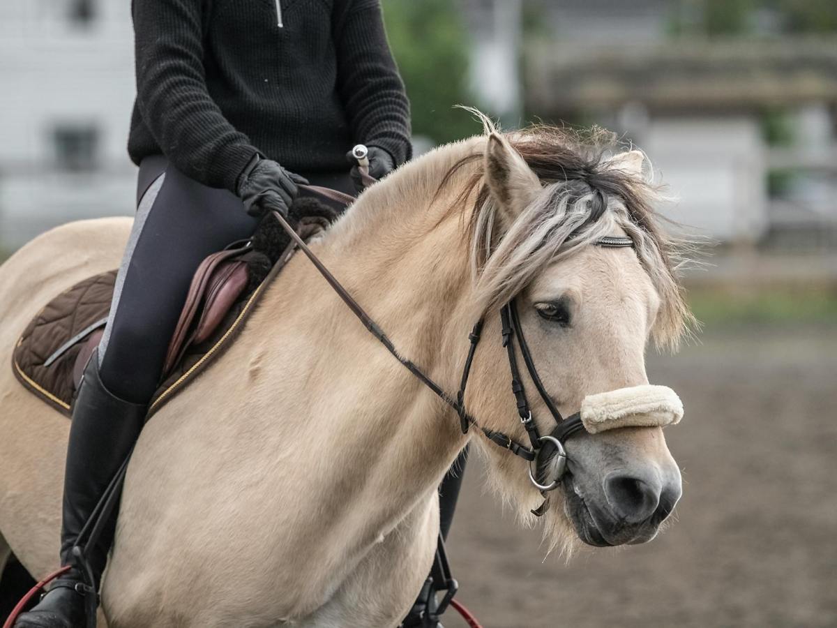 Meekness is not&nbsp;Weakness