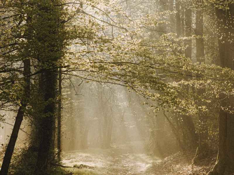 Blessed are Those who Mourn: The Path Runs Through the Broken&nbsp;Places